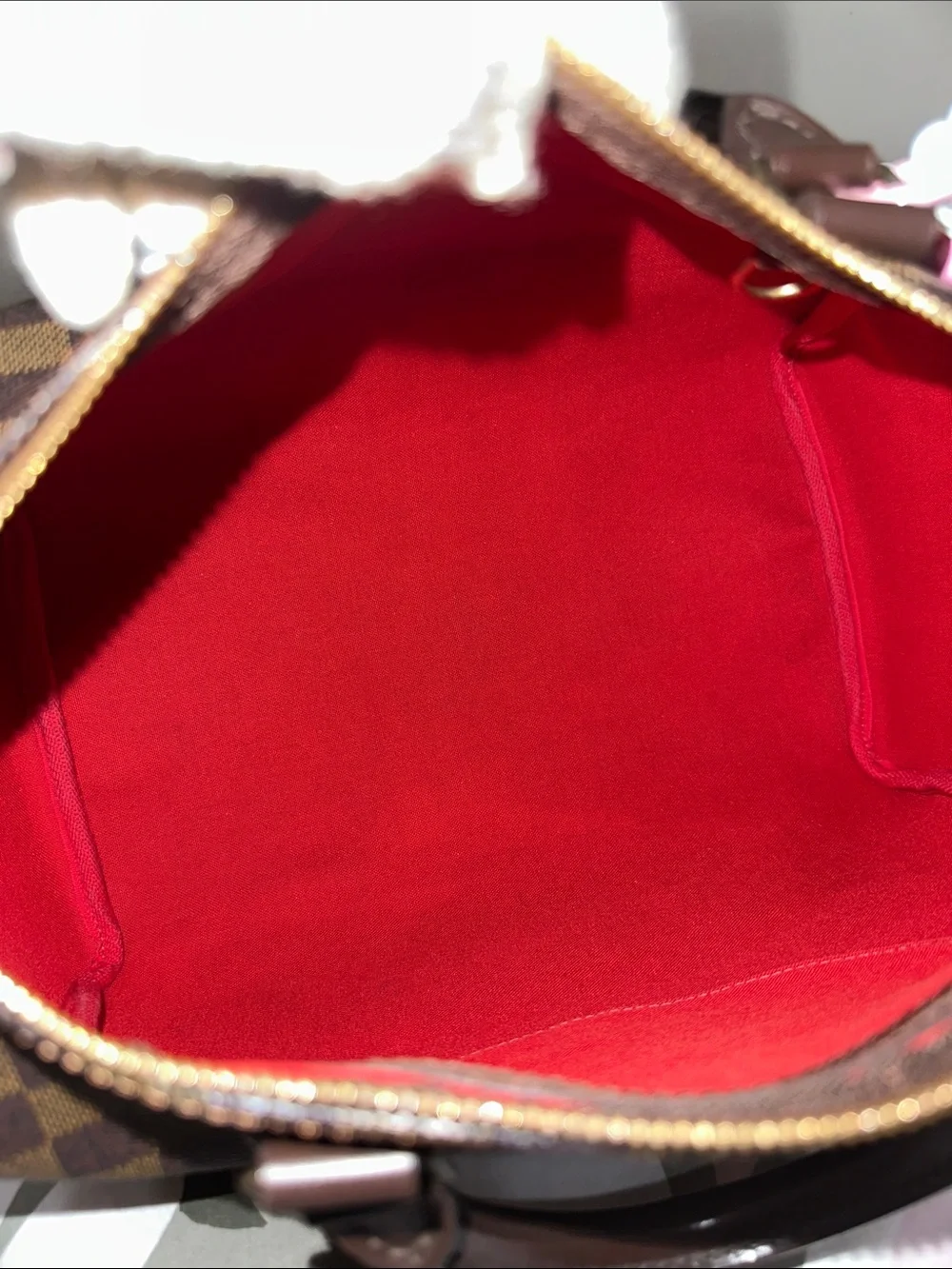 Louis Vuitton stylish brown